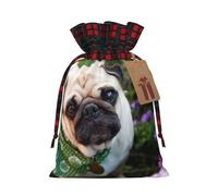 Dod In The Garden Print Christmas Drawstring Gift Bags Large Xmas Present Storage Bag