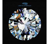 Dodgy - What Are We Fighting For [VINYL]