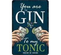 DODINO 20 x 30 cm Retro Tin Signs YOU ARE THE GIN TO MY TONIC Cocktail Sign with Funny Sayings as a Gift, Bar Decoration, Kitchen, Metal Signs Vintage as Alcohol Accessories