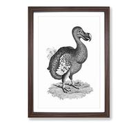Dodo in Black & White by George Shaw Framed Print | A2 Walnut Framed Wall Art | Ready to Hang | Modern Nature Picture | Living Room Bedroom Lounge Office
