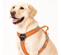 DoDoDash No Pull Dog Harness, Quick Buckle, Seatbelt Compatible, Orange, M