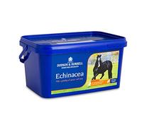 Dodson and Horrell Echinacea for Horses - Dried - 1kg Tub