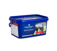 Dodson & Horrell Electrolytes Horse Supplement 2kg