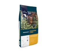 Dodson & Horrell Staypower Cubes 20Kg Horse Feed