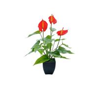 DODXIAOBEUL 16.1'' Artificial Potted Flowers Anthurium Artificial Plant Bonsai Fake Tropical Greenery Plant,for Indoor Outside Home Garden Office Deck Porch Wedding Decorations,Red