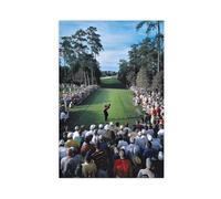 doegka Tiger Woods Poster 2001 Masters Canvas Poster Bedroom Decor Landscape Office Room Decor Gift 12x18inch(30x45cm)