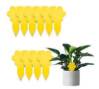 DOETYD 10 Pack Fungus Gnat Killer Trap Yellow Sticky Fruit Fly Traps for Fruit Flies and Whitefly, Double-sided Insect Catcher for Houseplant Indoor and Outdoor Garden Plants