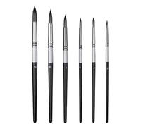 DOETYD 6 Pcs round pointed tip paint brushes art set, versatile artists paint brushes for acrylic, oil, watercolour, durable nylon hair water brush for beginners and professionals (Black)