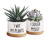 DOFAFALA 2 Pieces I Wet My Plants/I Soiled Myself Funny 3.5 inch Ceramic Flower Planter Pot with Bamboo Tray, Home Kitchen Office Decor Housewarming Gift Women, Friends, Coworker
