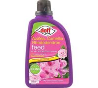 Doff Azalea, Camellia and Rhododendron Feed