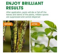 Doff 2 in 1 Rose Bug & Fungus Control Spray 1L