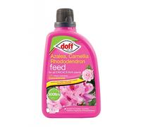 Doff Azalea Camellia Rhododendron Ericaceous Feed Food Fertiliser 1L