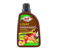 doff CONCENTRATED LIQUID SEAWEED 1L, Green