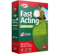 Am-Tech Lawn Seed – Fast Growing, Hard Wearing – 500 g
