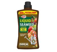 Doff Liquid Seaweed Plant Feed Concentrate - All Purpose Plant Food Fertiliser 1.2L Makes 360L - Natural Plant Growth Stimulant - Organic Plant Food.