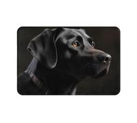 DOFFO Indoor Door Mat Black Labrador Printed Non Slip Floor Mat 16"X24" Fall Door Mat Bath Mat Flannel Throw Rugs Area Rugs Welcome Mat Front Door Rug Indoor Mats for Front Door Entry