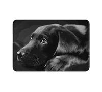DOFFO Indoor Door Mat Black Labrador Puppy Printed Non Slip Floor Mat 16"X24" Fall Door Mat Bath Mat Flannel Throw Rugs Area Rugs Welcome Mat Front Door Rug Indoor Mats for Front Door Entry