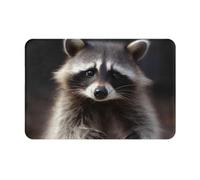 DOFFO Indoor Door Mat Cute Raccoon Printed Non Slip Floor Mat 16"X24" Fall Door Mat Bath Mat Flannel Throw Rugs Area Rugs Welcome Mat Front Door Rug Indoor Mats for Front Door Entry
