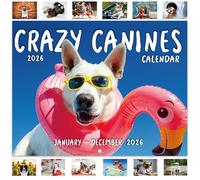 Dog 2026 Calendar Funny Dogs - A4 Crazy Canines Calendar 2026 from Jan. to Dec. 2026, 2026 calendar UK with Julian Date, 21 × 29.7cm, Opens to A3