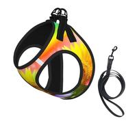 Dog 3d Colorful Sunflower Printed Harness And Leash Set,Adjustable,Breathable Soft,Step-In Mesh Pet Vest Harness With Reflective Strip