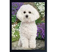 DOG 3D FRIDGE MAGNET BICHON FRISE