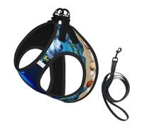 Dog 3d Underwater World Dolphin Printed Harness And Leash Set,Adjustable,Breathable Soft,Step-In Mesh Pet Vest Harness With Reflective Strip