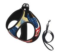 Dog American Usa Flag Eagle Art Printed Harness And Leash Set,Adjustable,Breathable Soft,Step-In Mesh Pet Vest Harness With Reflective Strip
