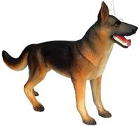 Dog Anatomy Model, Wolf Dog Skeleton Assembly Model with 29 Detachable Organs and Body Parts, for Animal Teaching Demonstration and Veterinary Training