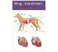 Dog Anatomy: Veterinary Anatomy Coloring Book For Adults