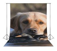Dog And Duck in The Water Backdrop Background for Photography High Density Polyester Fabric Background Banner Seamless Photo Booth Prop Backdrop 56"x118" for Birthday Party Decor Photoshoot Banner Pro