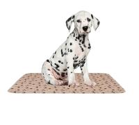 Dog and Puppy Cleanliness Mat, Super Absorbent and Leak-Proof, Reusable and Washable Training Mat, Ideal for Learning, Transport or Cage