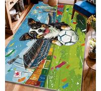 Dog Area Rug, Sport Playful Soccer Ball Stadium Summer Green Low Pile Aesthetic Rectangle Home Floor Carpet Rugs for Living Room Bedroom Classroom Apartment Decor 4' X 6'