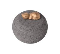 Dog Ashes Urn - Elegant Memorial Box, sturdy Cement Material, Meaningful Pet Respect | Provides Comfort Cherishes Beloved Pets, Perfect Loss Remembrance Ceremony Space