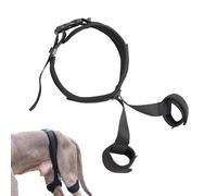 Dog Assist Belt - Easy to Use Dog Assist Belt, Long Lasting Dog Assist Belt | Breathable Pet Walking Aid Rehabilitation Harness for Elderly Injured Disabled Dogs Weak Legs for Standing Climbing
