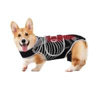 Dog Back Brace Adjustable Spinal Stability Harness