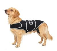 Dog Back Brace Adjustable Spinal Stability Harness