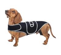 Dog Back Brace Adjustable Spinal Stability Harness
