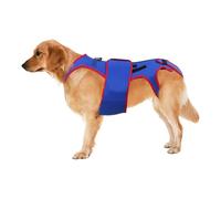 Dog Back Brace for Arthritis & IVDD - Adjustable Spinal Support Vest with Soft Cervical Spine Strip - Rehab Harness for Pain Relief Surgical Recovery Poor Posture -Dachshund Corgi Accessory (Small)