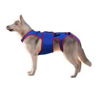 Dog Back Brace - Pet Support And Rehab Harness, Soft Hip Leg Support, Spinal Prevention Vest | D-Ring Reflective Strips Built-in Cartilage S M L XL Fabric 1 Piece