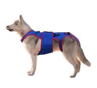 Dog Back Clip - Pet Support and Rehab Harness Dog Back Protector D-Ring and Reflection Strips, Pet Support and Rehabilitation Strap Soft Hip Leg Support Dog Clips