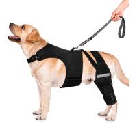 Dog Back Leg Brace, Dual Hind Leg Dog ACL Tear Brace, With 6 Metal Springs