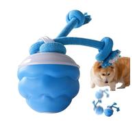 Dog Ball That Moves On Its Own - Touch Activated Toys for Indoor Pets - USB Rechargeable Squeaky Rolling Balls, Smart Interactive Toy for Puppy/Small/Medium Dogs