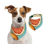 Dog Bandana Citrus Fruit Painting Pet Scarf Adjustable Pets Bandanas Washable Double-Sided Pets Neckerchief Cotton Triangle Bib Dog Scarfs Cats Scarves for Puppy Costume Accessories Large