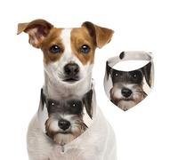 Dog Bandana Cute Schnauzer Pet Scarf Adjustable Pets Bandanas Washable Double-Sided Pets Neckerchief Cotton Triangle Bib Dogs Scarfs Cats Scarves for Puppy Costume Accessories Small