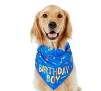 Dog Bandana, Dog Birthday Boy Triangle Bibs Cute Bone, Adorable Soft Doggy Scarf Cute Bone Adjustable Pet Supplies for Medium Puppy Walking