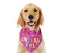 Dog Bandana | Doggy Birthday Boy Bandana Bone Toy - Adorable Soft Doggy Scarf Cute Bone Adjustable Pet Supplies for Medium Puppy Walking