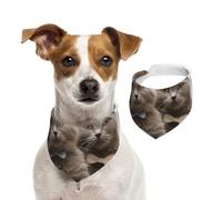 Dog Bandana Funny Cats Pet Scarf Adjustable Pets Bandanas Washable Double-Sided Pets Neckerchief Cotton Triangle Bib Dogs Scarfs Cats Scarves for Puppy Costume Accessories Medium