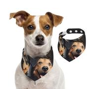 Dog Bandana Funny Puppy Dogs Pet Scarf Adjustable Pets Bandanas Washable Double-Sided Pets Neckerchief Cotton Triangle Bib Dog Scarfs Cats Scarves for Puppy Costume Accessories Large