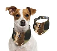 Dog Bandana Golden Retriever Running Pet Scarf Adjustable Pets Bandanas Washable Double-Sided Pets Neckerchief Cotton Triangle Bib Dogs Scarfs Cats Scarves for Puppy Costume Accessories Small