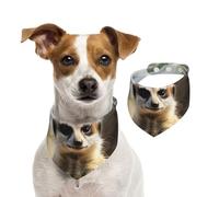Dog Bandana Meerkat Animal Pet Scarf Adjustable Pets Bandanas Washable Double-Sided Pets Neckerchief Cotton Triangle Bib Dog Scarfs Cats Scarves for Puppy Costume Accessories Large